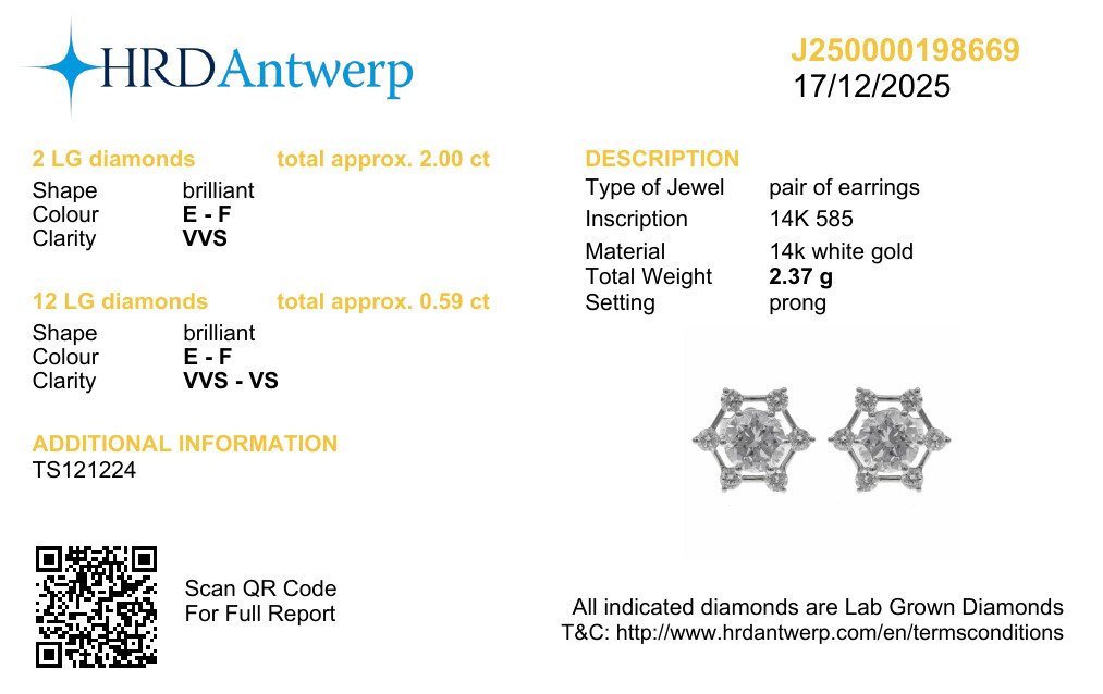 Elegantiški Auksiniai Auskarai 2.59 ct | Auginti Deimantai