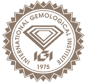 IGI Logo